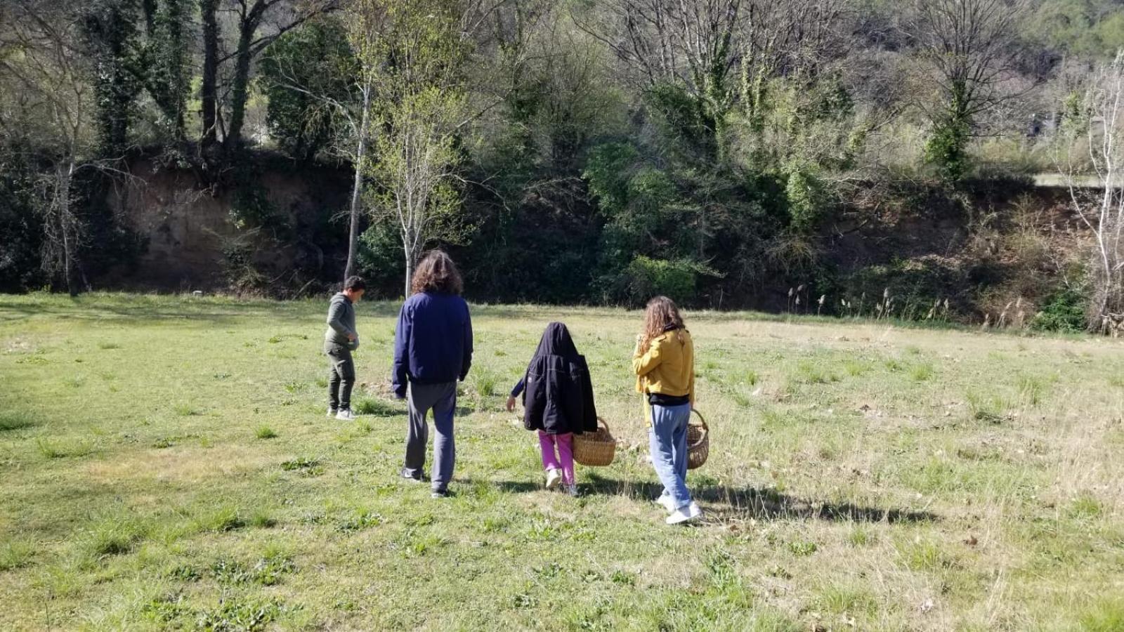 L'olivier Fleurie * Barjols
