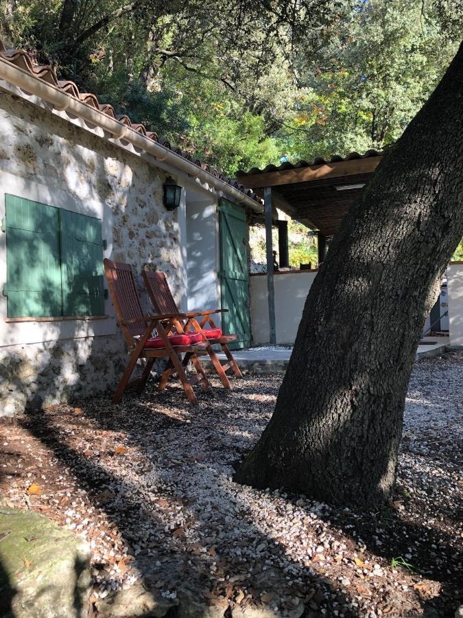L'olivier Fleurie Holiday home Barjols