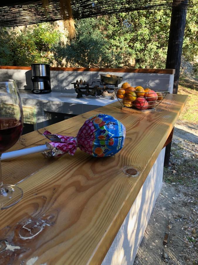 L'olivier Fleurie Hébergement de vacances Barjols