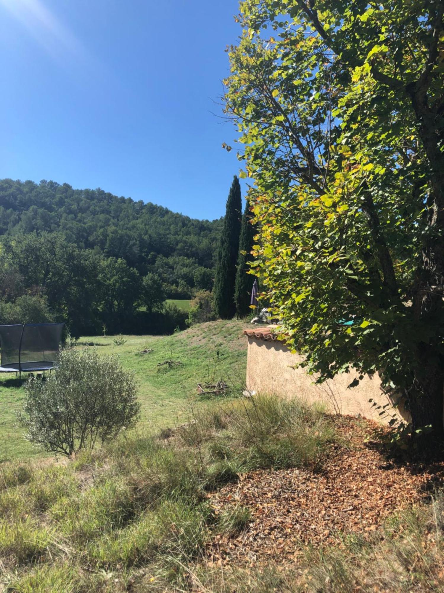 L'olivier Fleurie * Barjols
