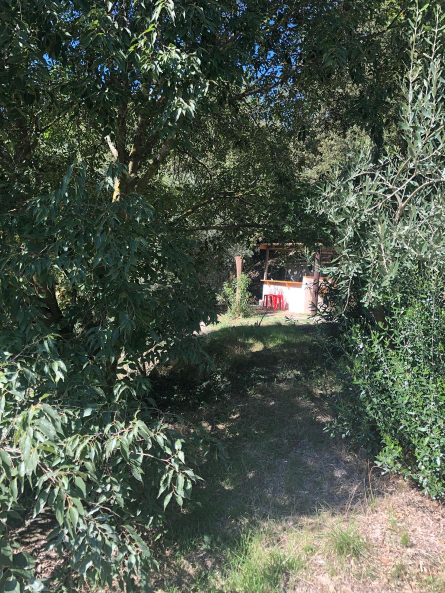 L'olivier Fleurie * Barjols