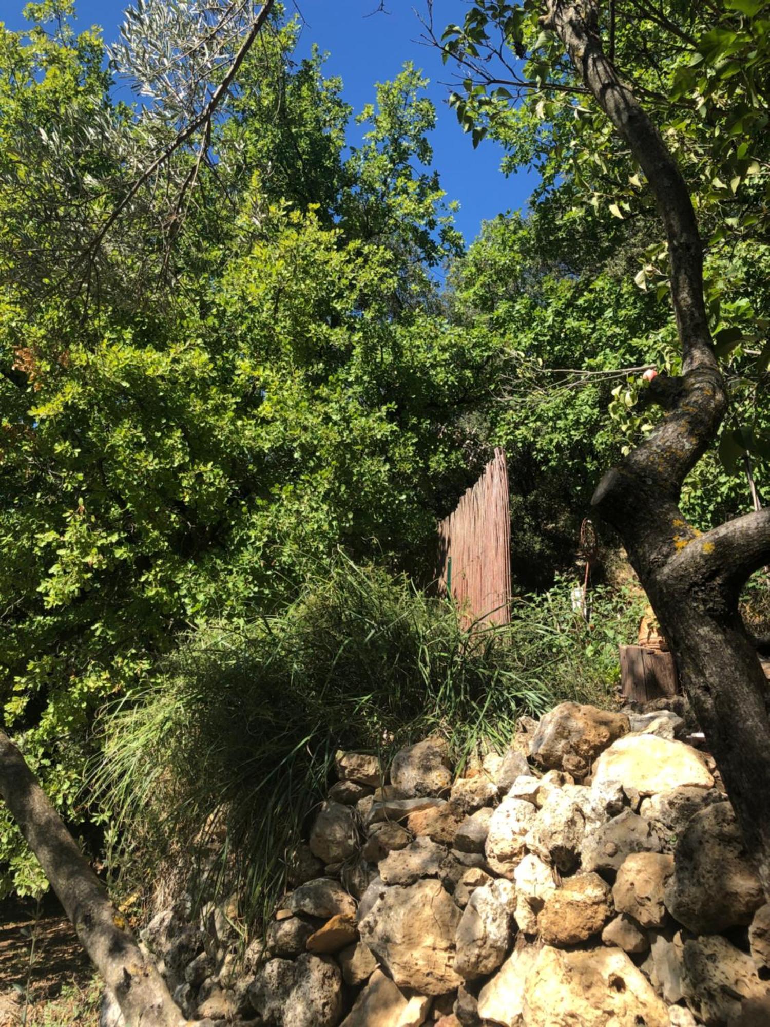 Hébergement de vacances L'olivier Fleurie