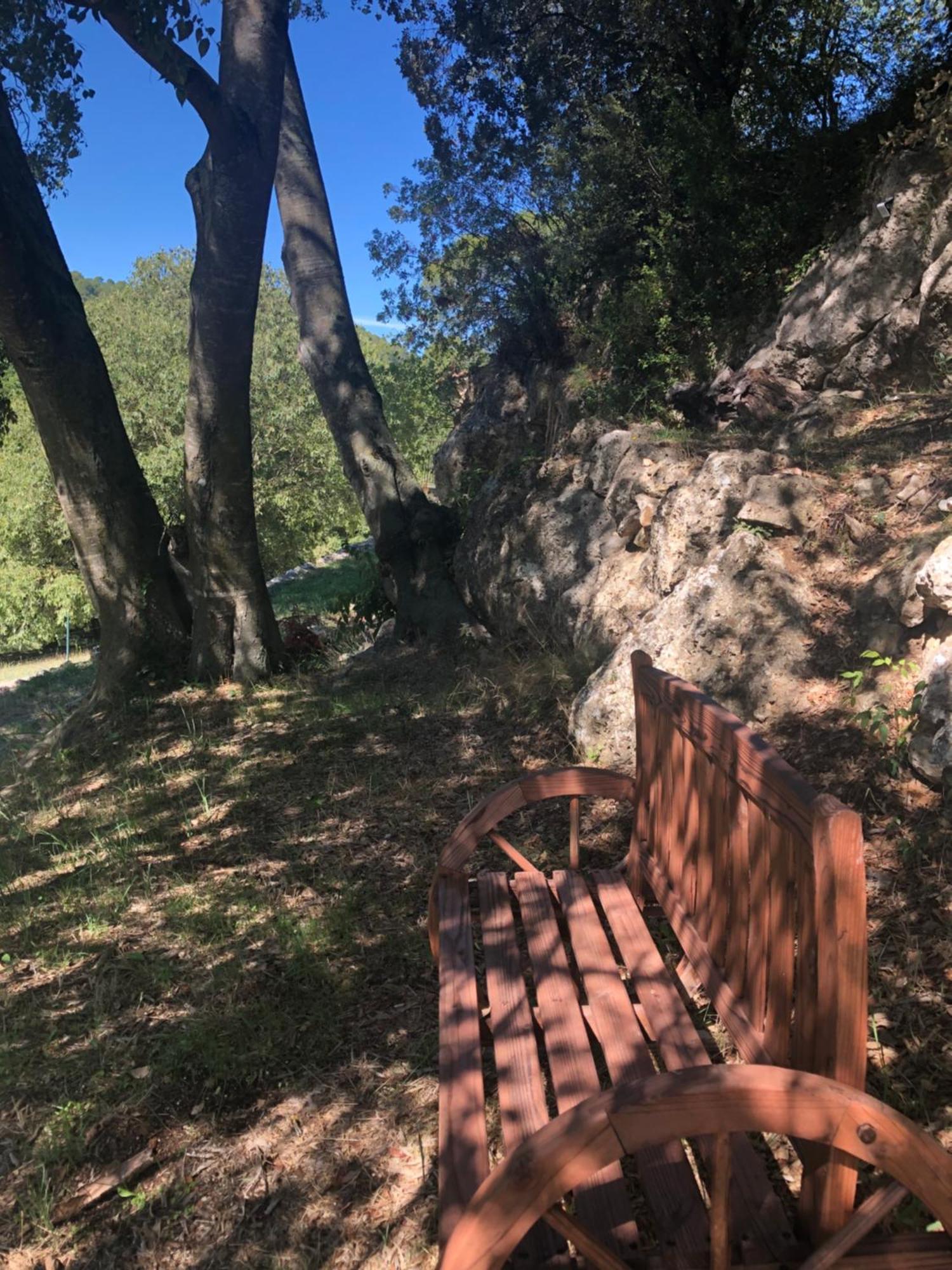 L'olivier Fleurie Holiday home Barjols