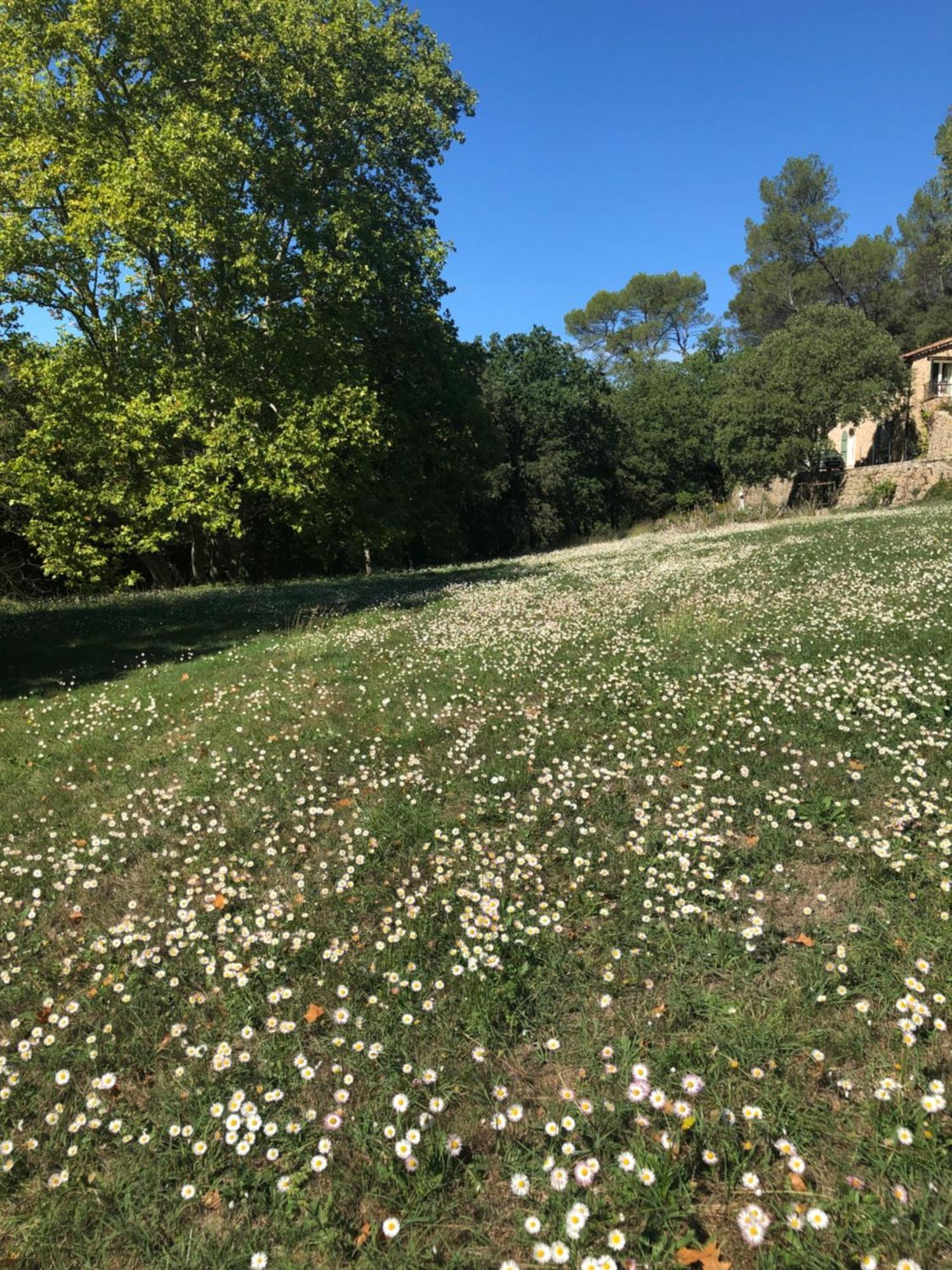 L'olivier Fleurie Holiday home