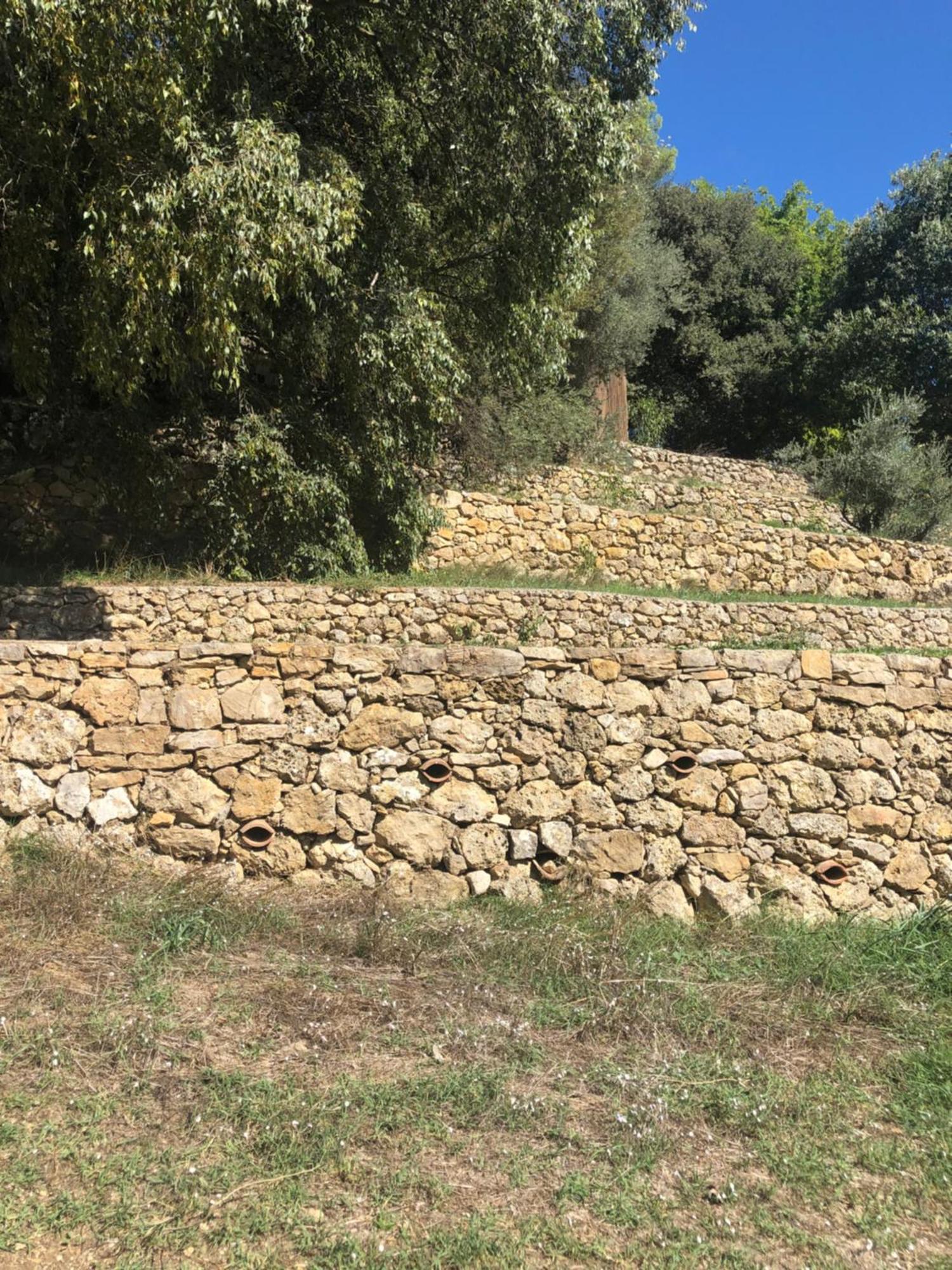 Holiday home L'olivier Fleurie